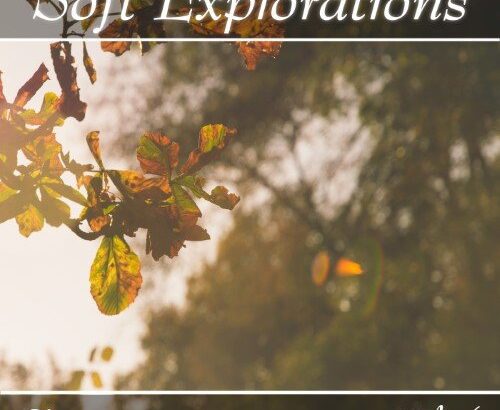 Music collection: Soft Explorations, Vol. 6