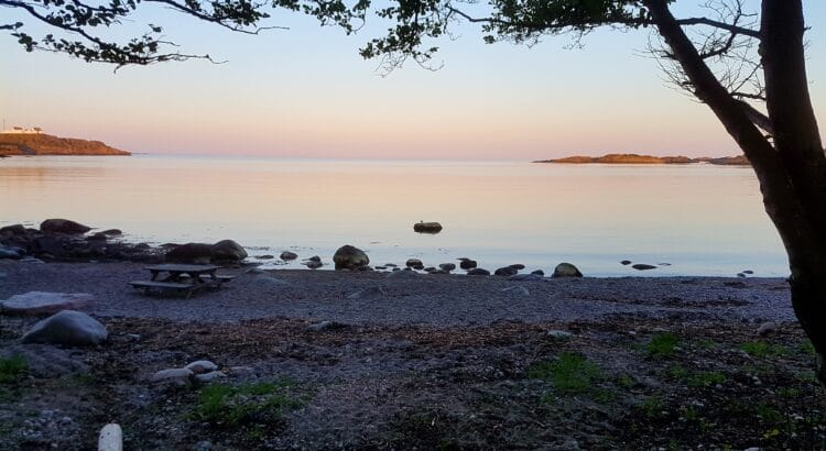 Evening Beach Under a Tree