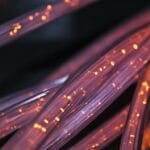 Fibre optical cable illustration