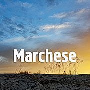 Marchese