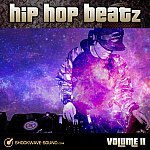  Hip Hop Beatz, Vol. 11 Picture
