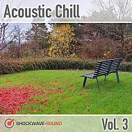 Music collection: Acoustic Chill, Vol. 3