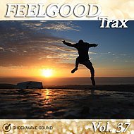 Music collection: Feelgood Trax, Vol. 37