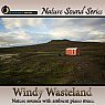 Windy Wasteland - nature sounds only version Picture