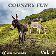 Music collection: Country Fun, Vol. 1