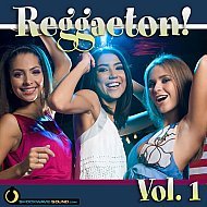 Music collection: Reggaeton, Vol. 1