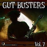 Music collection: Gut Busters Vol. 7