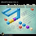  Drum 'n Bass Vol. 5 - Ambient DnB Picture
