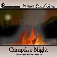 Relaxing Campfire Ambience - nature sounds only version