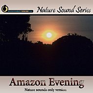 Relaxing Amazon Evening - nature sounds only version