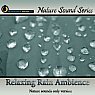 Relaxing Rain Ambience - nature sounds only version Picture