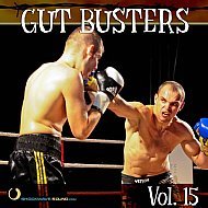 Music collection: Gut Busters Vol. 15