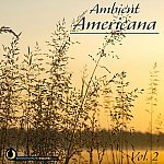 Ambient Americana, Vol. 2 Picture