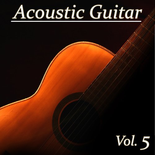 Acoustic Guitar, Vol. 5 Stock Music collection
