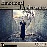  Emotional Underscores Vol. 13 Picture