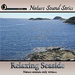 Relaxing Seaside Ambience - nature sounds only version Picture