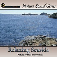Relaxing Seaside Ambience - nature sounds only version