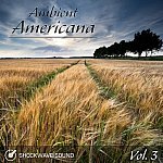  Ambient Americana, Vol. 3 Picture