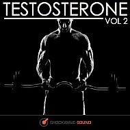 Music collection: Testosterone, Vol. 2