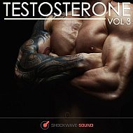Music collection: Testosterone, Vol. 3