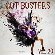 Music collection: Gut Busters Vol. 20