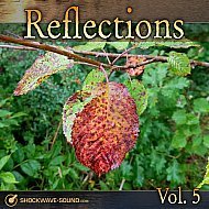 Music collection: Reflections, Vol. 5