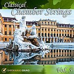  Classical Chamber Strings, Vol. 5 Picture
