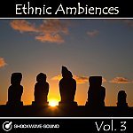  Ethnic Ambiences, Vol. 3 Picture