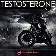 Music collection: Testosterone, Vol. 4