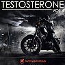  Testosterone, Vol. 4 Picture