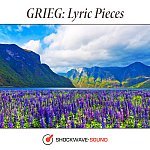  Classical Piano Favorites, Vol. 10: GRIEG Lyric Pieces Picture
