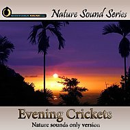 Relaxing Evening Crickets - nature sounds only version