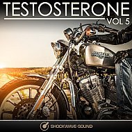 Music collection: Testosterone, Vol. 5