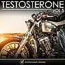  Testosterone, Vol. 5 Picture
