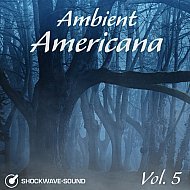 Music collection: Ambient Americana, Vol. 5