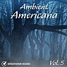  Ambient Americana, Vol. 5 Picture