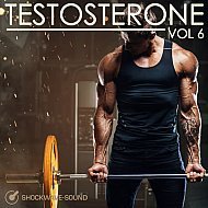 Music collection: Testosterone, Vol. 6