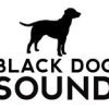 Black Dog Sound