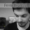 Ferenc Hegedus