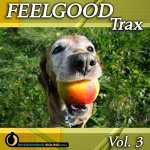  Feelgood Trax, Vol. 3 Picture