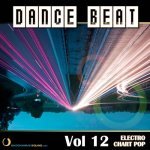  Dance Beat Vol. 12: Electro Chart Pop Picture