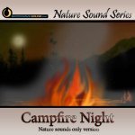 Relaxing Campfire Ambience - nature sounds only version Picture
