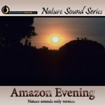 Relaxing Amazon Evening - nature sounds only version Picture