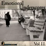  Emotional Underscores Vol. 11 Picture
