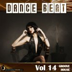  Dance Beat Vol. 14: Groove House Picture
