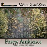 Relaxing Forest Ambience - nature sounds only version Picture