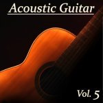  Acoustic Guitar, Vol. 5 Picture