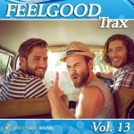  Feelgood Trax, Vol. 13 Picture