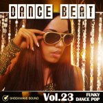  Dance Beat Vol. 23: Funky Dance Pop Picture