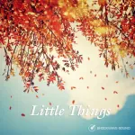  Francesco Giovannangelo - Little Things Picture